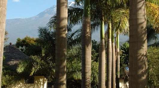 Kilemakyaro Mountain Lodge Moshi Exterior foto